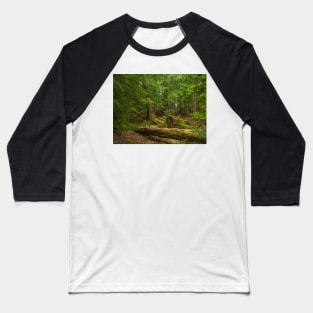 Dense Forest Baseball T-Shirt